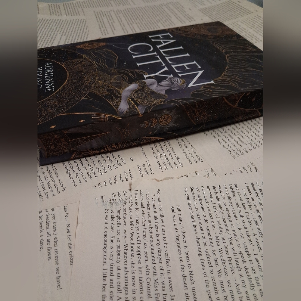 Fairyloot Edition Of Fallen City by Adrienne Young - Picture 2 of 11
